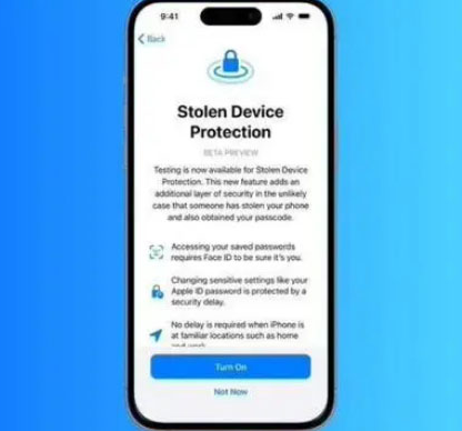 石渠苹果授权维修店分享被盗设备保护功能开启方法 