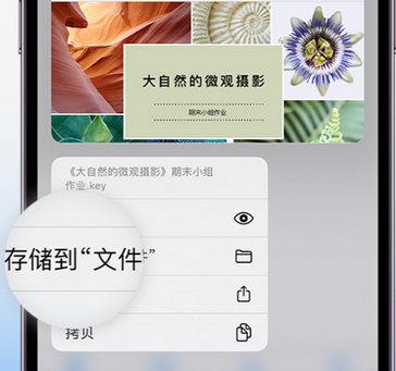 石渠apple维修中心分享iPhone文件应用中存储和找到下载文件