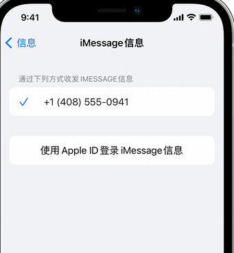 石渠apple维修iPhone上无法正常发送iMessage信息 