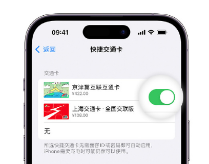 石渠apple维修点分享iPhone上更换Apple Pay快捷交通卡手绘卡面 