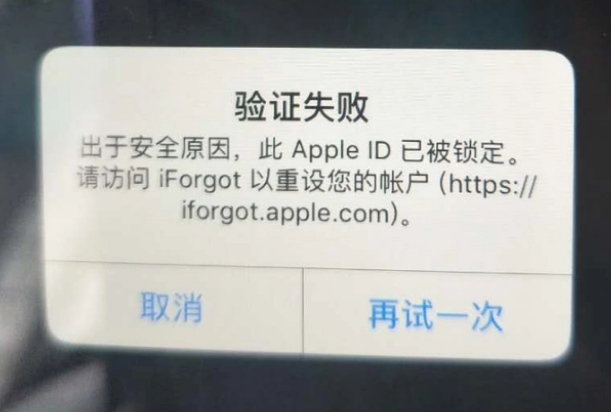 石渠iPhone维修分享iPhone上正常登录或使用AppleID怎么办 