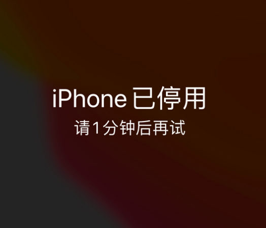 石渠苹果手机维修分享:iPhone 显示“不可用”或“已停用”怎么办？还能保留数据吗？ 