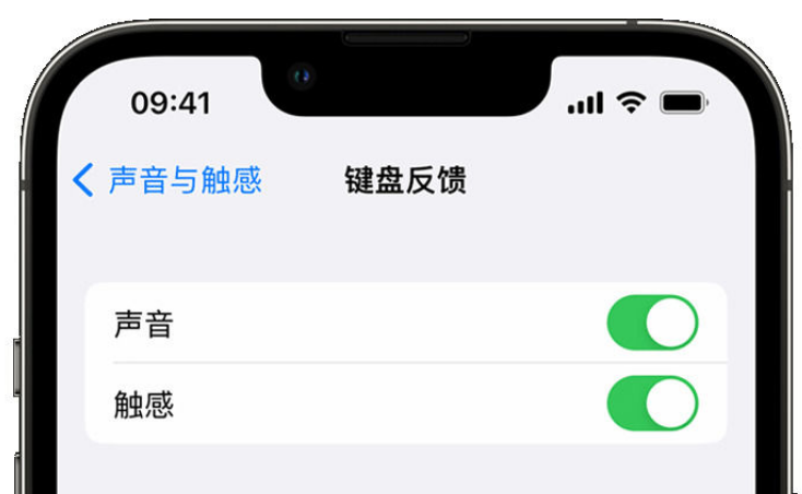 石渠苹果手机维修分享iPhone 14触感键盘使用方法 