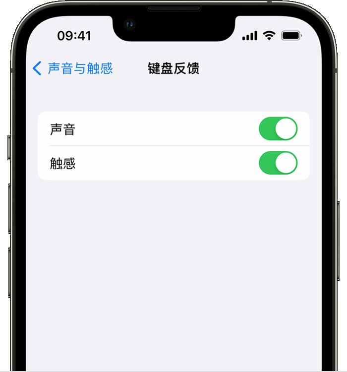 石渠苹果14维修店分享如何在 iPhone 14 机型中使用触感键盘 