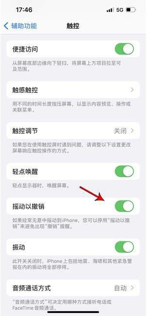 石渠苹果手机维修分享iPhone手机如何设置摇一摇删除文字 